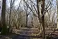 Great Hormead Park