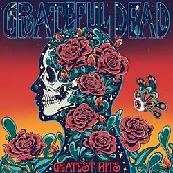 A silhouette, with a skull, roses, and a field of stars visible within