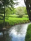 River Gulp in Beutenaken