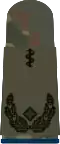 Oberstabs­arzt (hum. medicine)