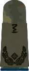 Oberstabs­apotheker