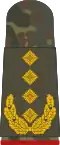 General (field suit)