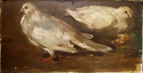 Doves
