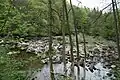 River Ure view, 2016