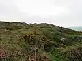 Summit area of Hardown Hill