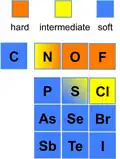 Hard–Soft Trends for Bases