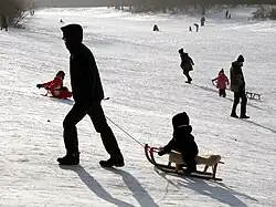 Volkspark Hasenheide in winter, 2013