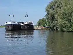 Haven van Rhenen