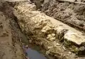 Part of the wall of landsfort Herle