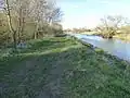 Higham Ferrers Pits