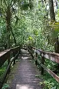 Boardwalk