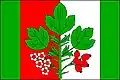 Flag of Hlohovčice