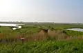 Holland Haven Marshes