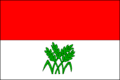 Flag of Homole