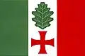 Flag of Horní Dubňany