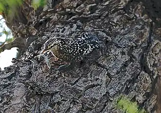 In Rajasthan
