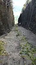 Steps