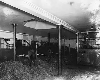 The stables (1903)