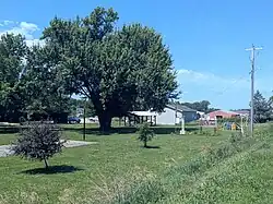 Ira town park