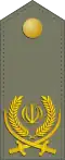 Brigadier General