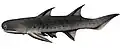 Acanthodian