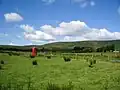 Isolated Phone Box