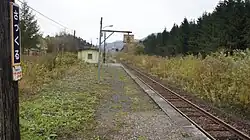Platform