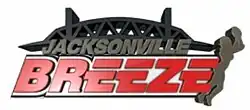 Team logo