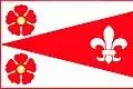 Flag of Jankov