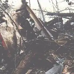 Wreckage at the crash site