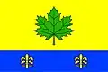 Flag of Javorník
