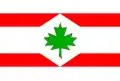 Flag of Javorník