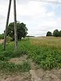Fields