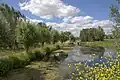 Nature near Waarder