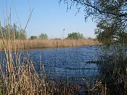 Lake