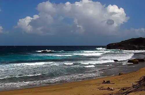 Jobos Beach in 2012