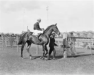 Fuji San and Jim Pike 1926 Tramway Handicap Randwick Racecourse.
