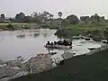 River Kaduna