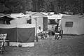 Camp site in Bakkum (1972)