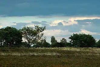 Natuurgebied Kampina&nbsp;[nl] in Boxtel