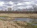 Aukiki Wetland Conservation Area (SR 49 north of Wheatland, Indiana)