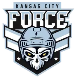 Team logo