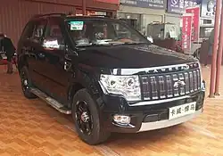 Kawei W1