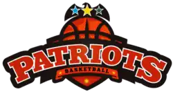 Patriots logo