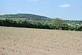 A field in Milltown with the Hill of Allen in the distance.