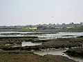 Hamford Water