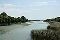 Kis-Balaton