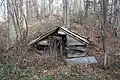 Shed in the wood