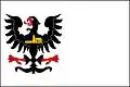 Flag of Kočí