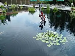 Reflecting pool.